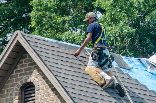 Best Tile Roofing Contractor  in The Hills, TX